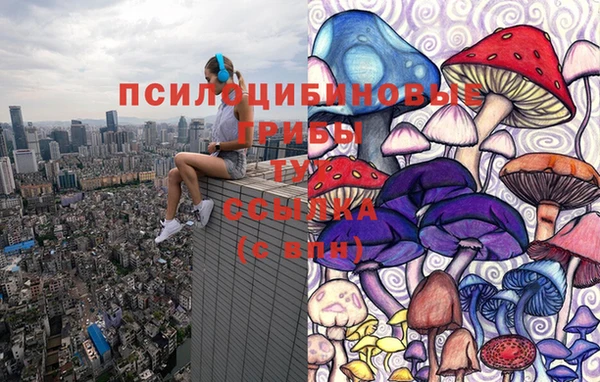 соль ск Алексеевка
