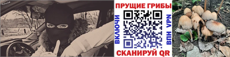 Галлюциногенные грибы GOLDEN TEACHER  сколько стоит  Жердевка 